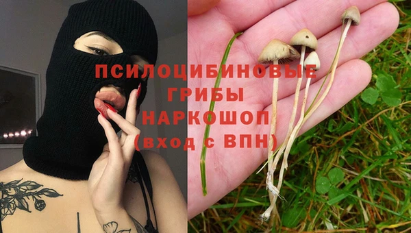 мяу мяу мука Балабаново