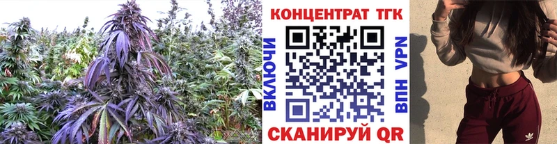 ОМГ ОМГ вход  Белинский  ТГК жижа 