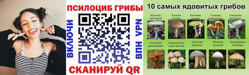 Галлюциногенные грибы мухоморы  Белинский 
